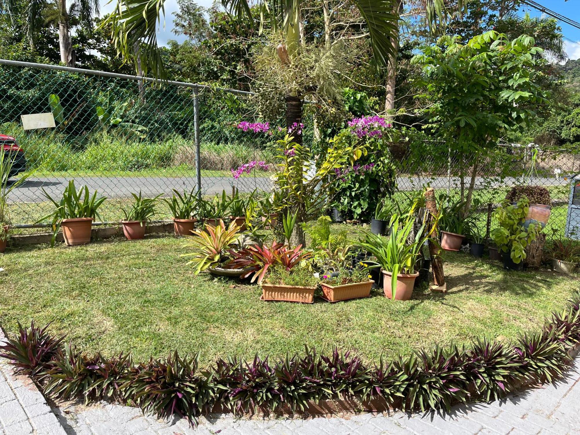 Gavidias Guest House San Lorenzo Esterno foto
